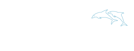 I Delfini - Car Detailing